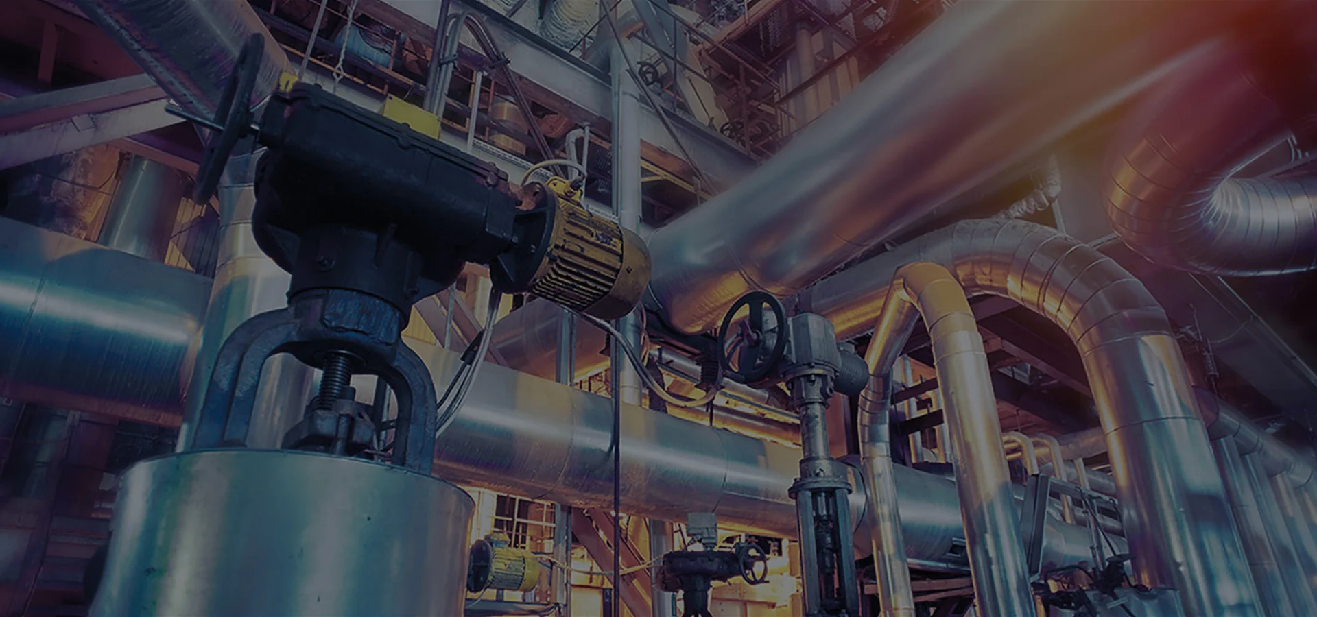 Driven by Innovation